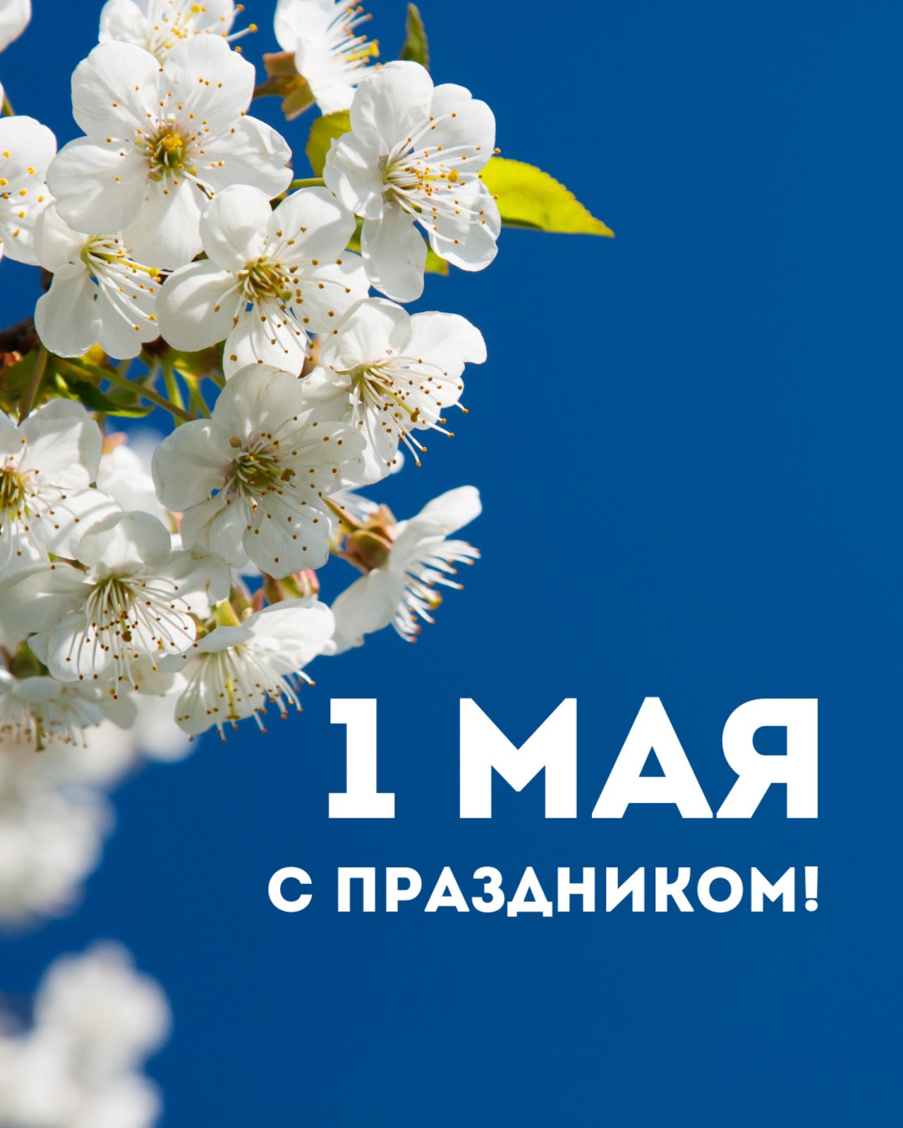 С 1 Мая!